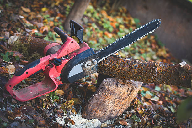 Best Lawn Maintenance Plans  in New Beaver, PA